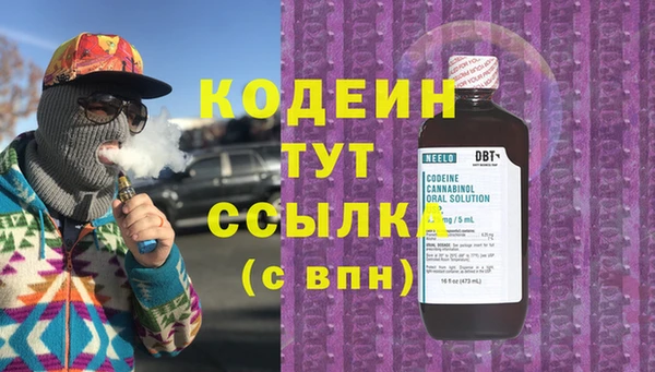 шишки Ладушкин