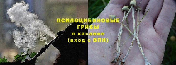 ПСИЛОЦИБИНОВЫЕ ГРИБЫ Лиски
