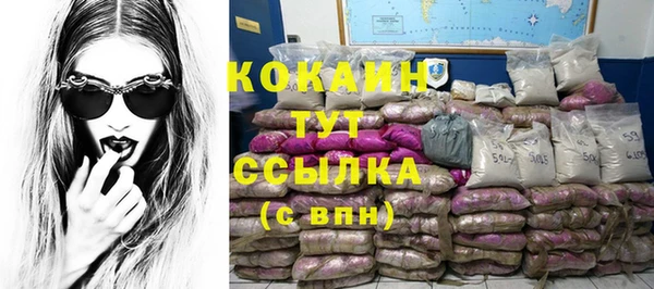 шишки Ладушкин