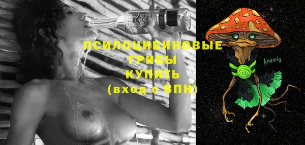 ПСИЛОЦИБИНОВЫЕ ГРИБЫ Лиски
