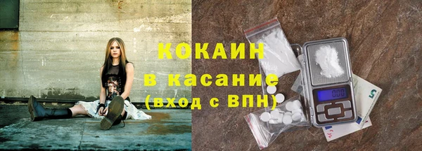 шишки Ладушкин