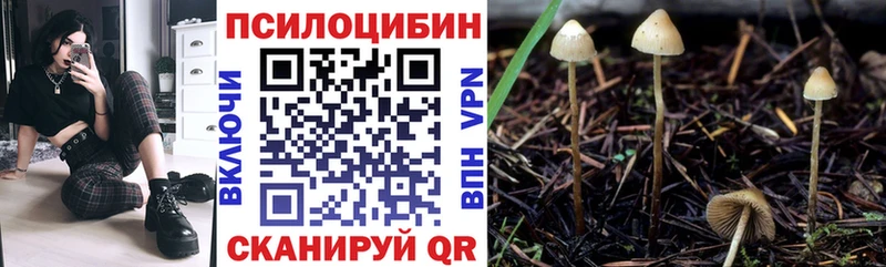 дарк нет состав  Киров  Псилоцибиновые грибы Psilocybine cubensis  hydra зеркало 