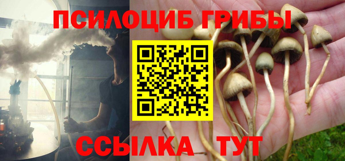 Галлюциногенные грибы Cubensis  Вход с VPN  Киров  Галлюциногенные грибы Psilocybe 