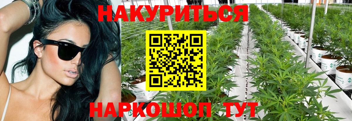 Шишки марихуана семена Киров